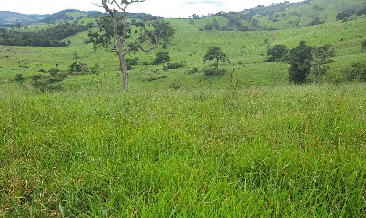 Fazenda, Zona Rural, 4 Quartos, 0 Vaga