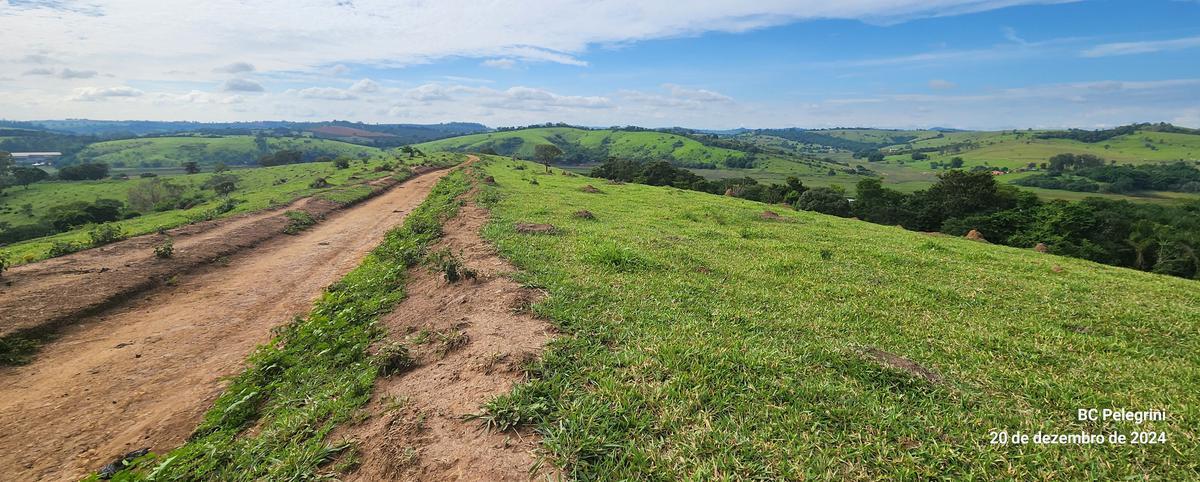 Fazenda, Zona Rural, 0 Quarto, 0 Vaga
