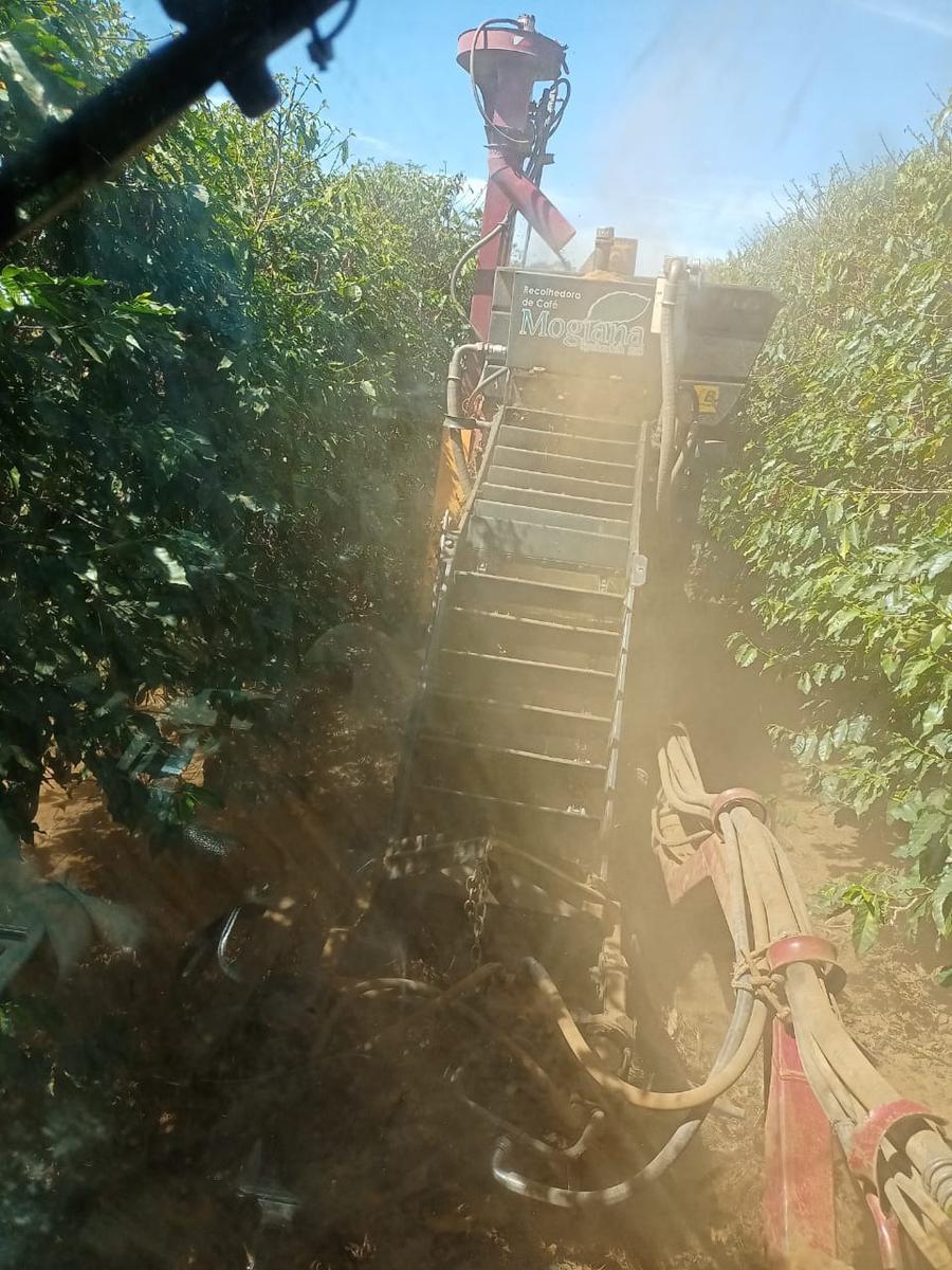 Fazenda, Zona Rural, 3 Quartos, 0 Vaga