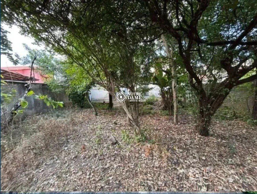 Casa, Santa Amélia, 3 Quartos, 2 Vagas