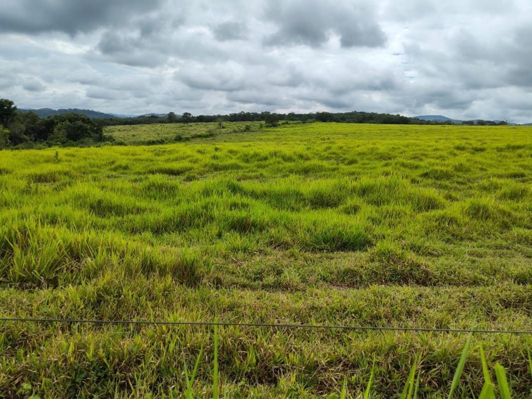 Fazenda, Zona Rural, 5 Quartos, 0 Vaga