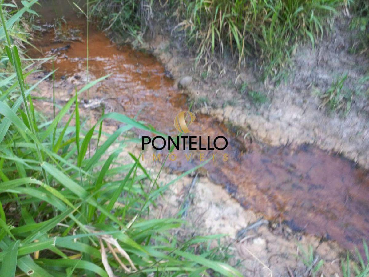 Lote, Vereda, 0 Quarto, 0 Vaga