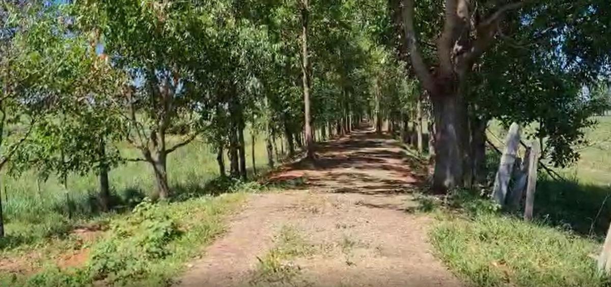 Fazenda, Centro, 0 Quarto, 0 Vaga