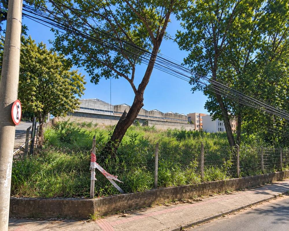 Lote, São Francisco, 0 Quarto, 0 Vaga