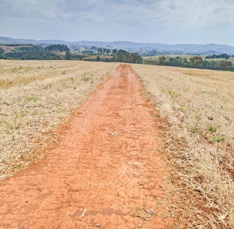 Fazenda, Zona Rural, 0 Quarto, 0 Vaga