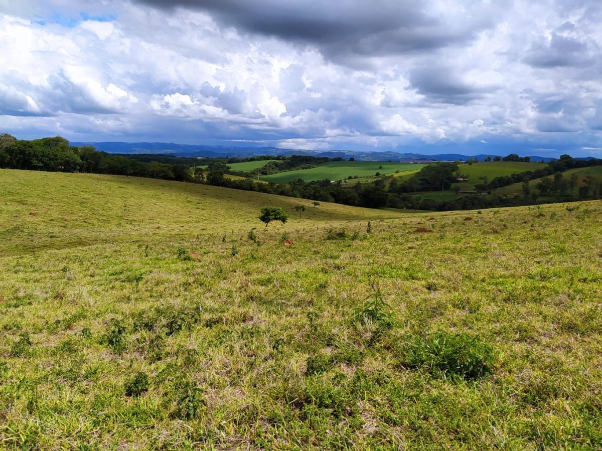 Fazenda, Centro, 1 Quarto, 1 Vaga
