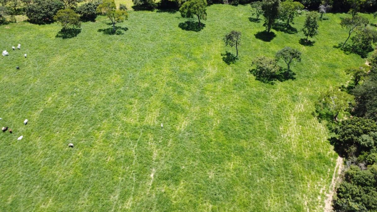 Fazenda, Zona Rural, 0 Quarto, 0 Vaga
