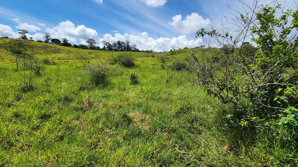 Fazenda, Zona Rural, 1 Quarto, 0 Vaga