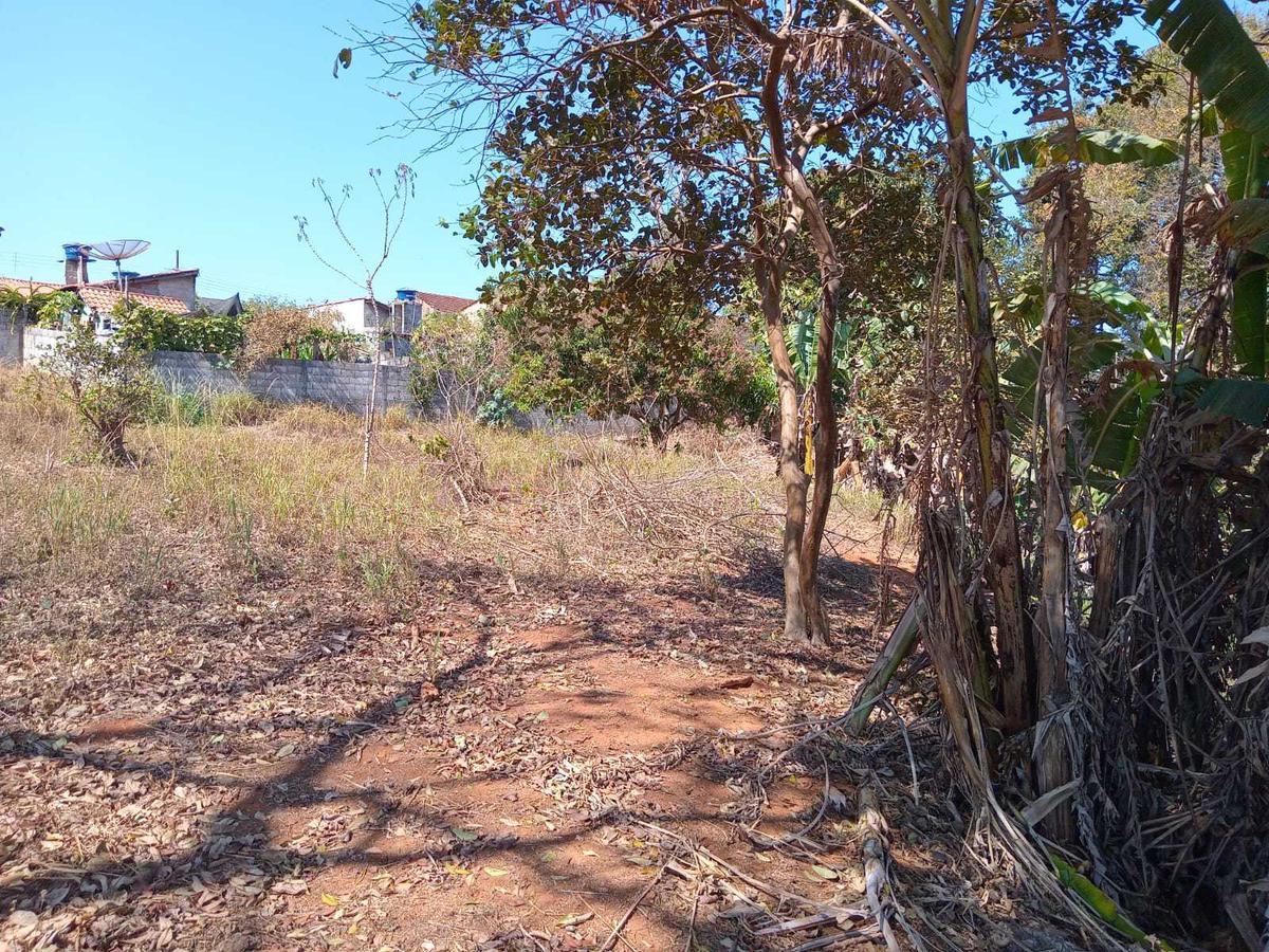 Lote, Centro, 0 Quarto, 0 Vaga