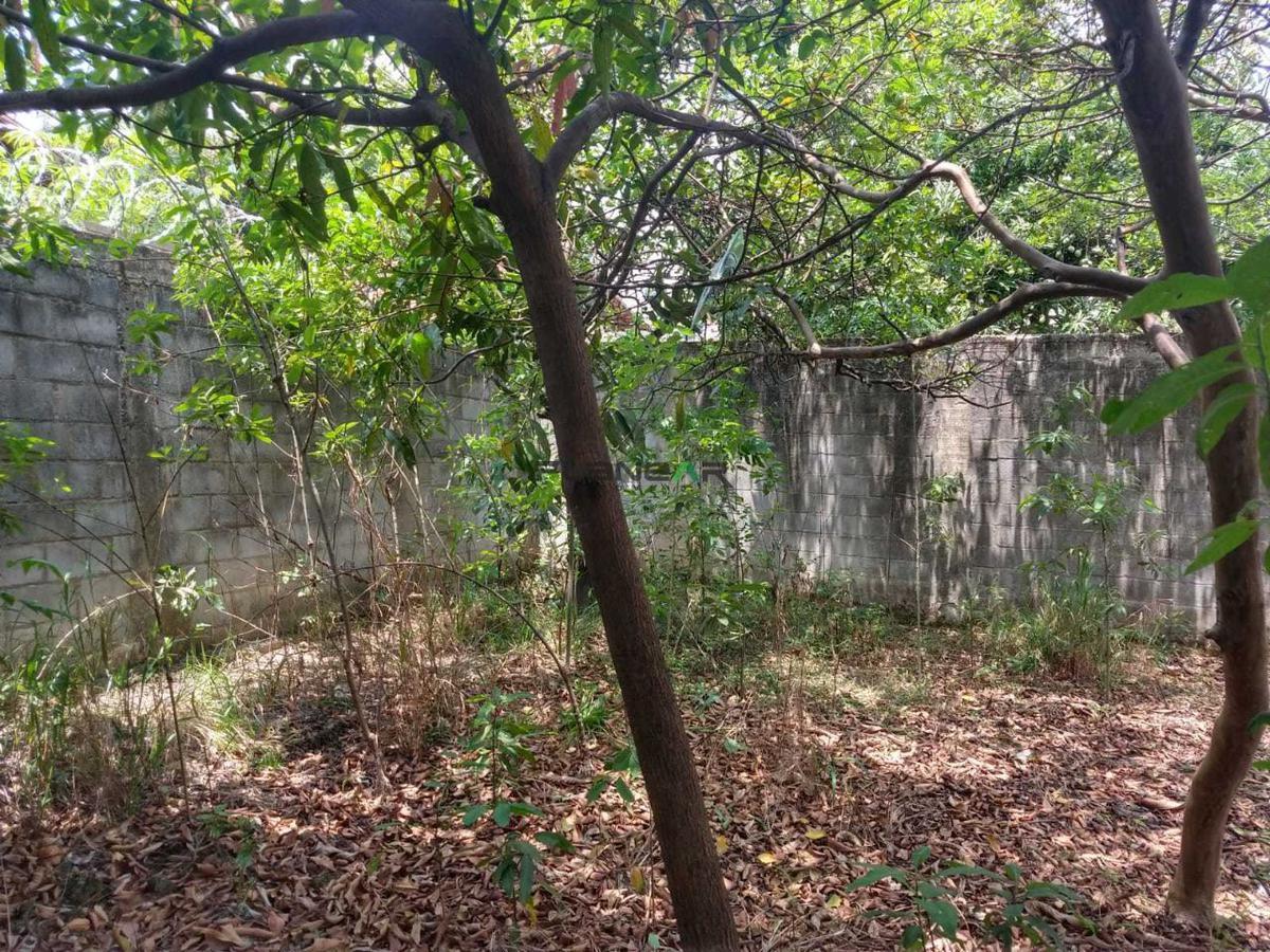 Lote, Regina, 0 Quarto, 0 Vaga