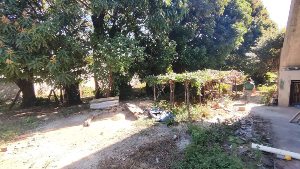 Lote, Novo Progresso, 0 Quarto, 0 Vaga