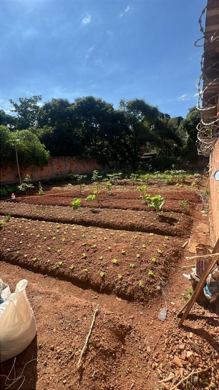 Lote, Braúnas, 0 Quarto, 0 Vaga