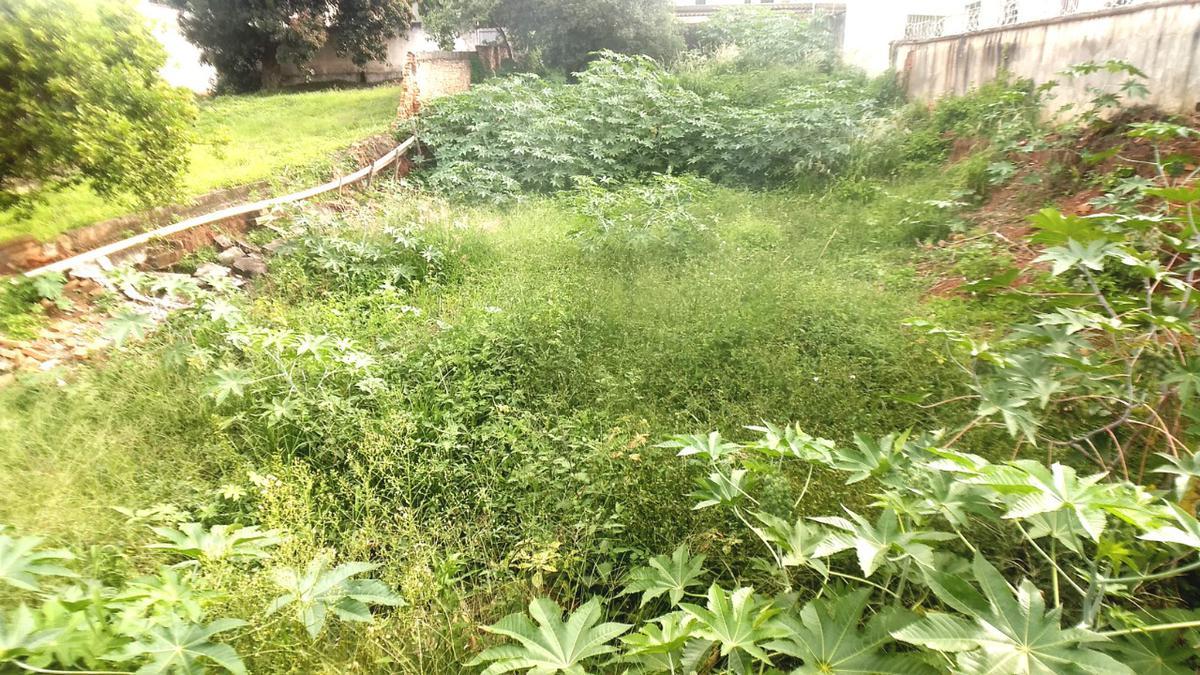 Lote, Centro, 0 Quarto, 0 Vaga