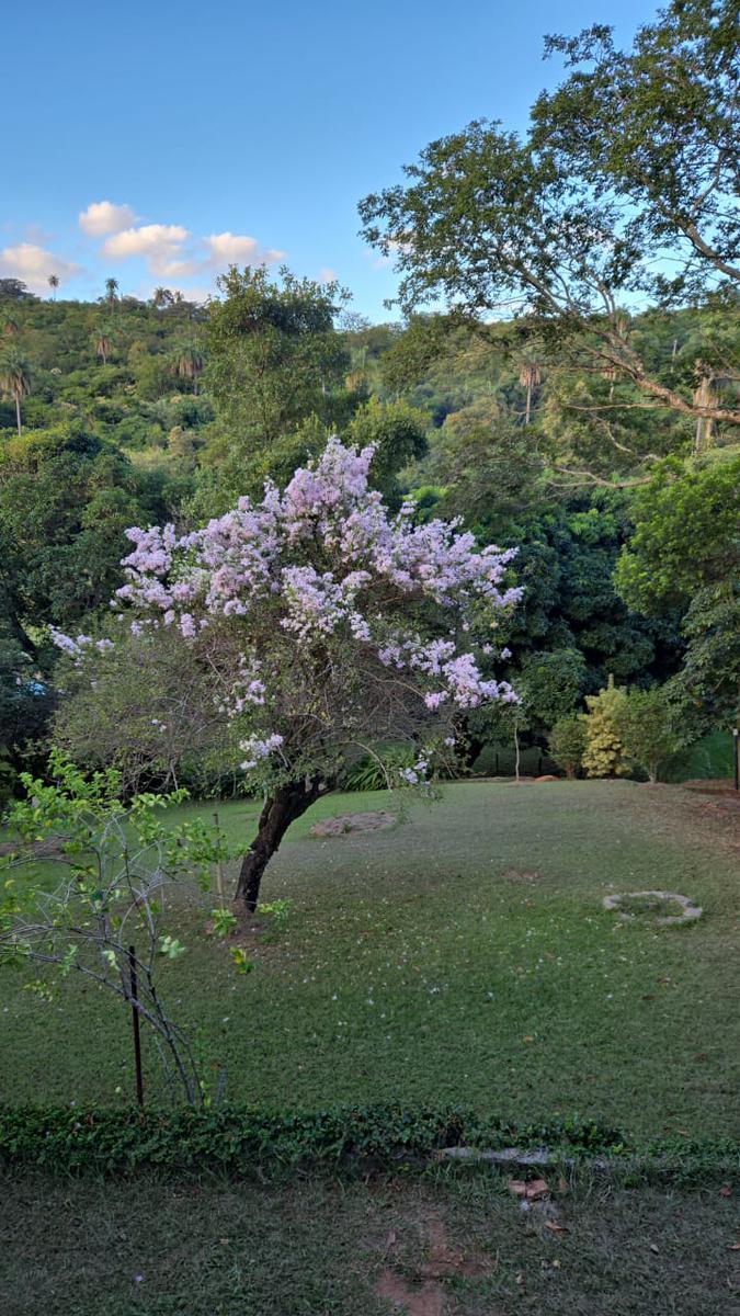 Fazenda, Ravena, 3 Quartos, 20 Vagas, 1 Suíte