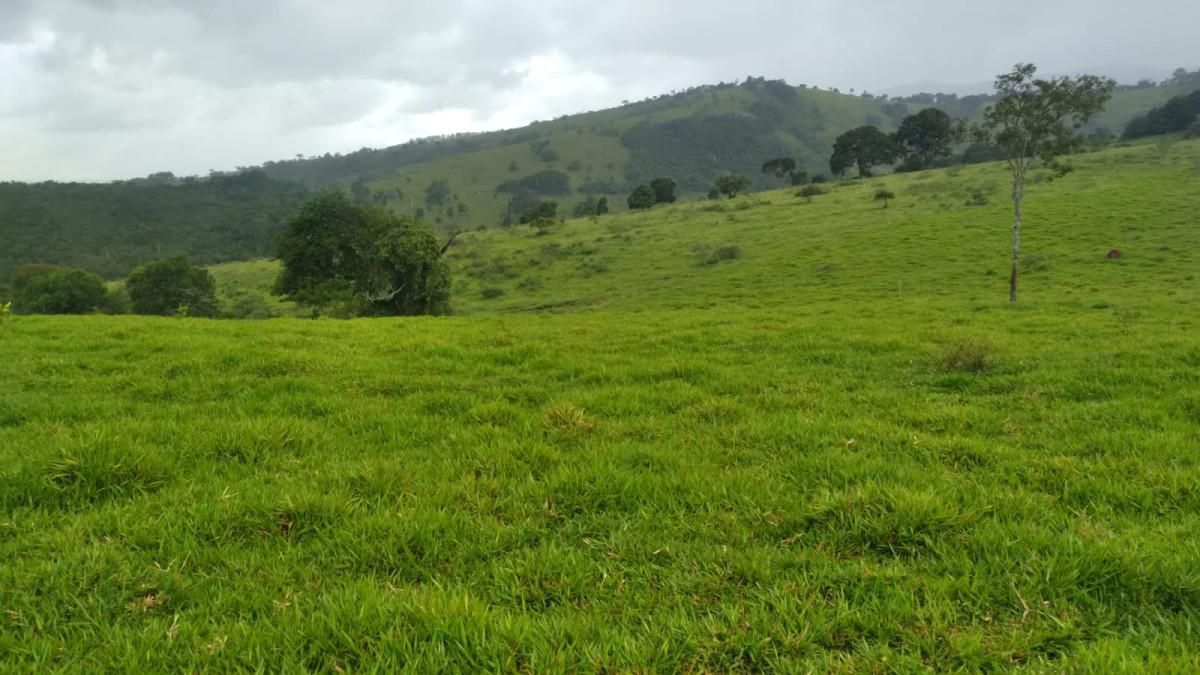 Fazenda, Zona Rural, 0 Quarto, 0 Vaga