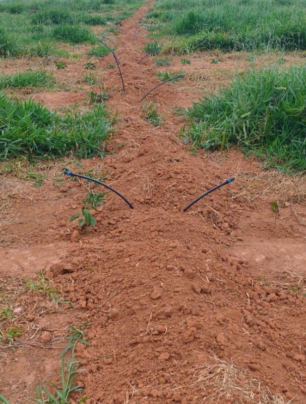 Fazenda, Zona Rural, 0 Quarto, 0 Vaga