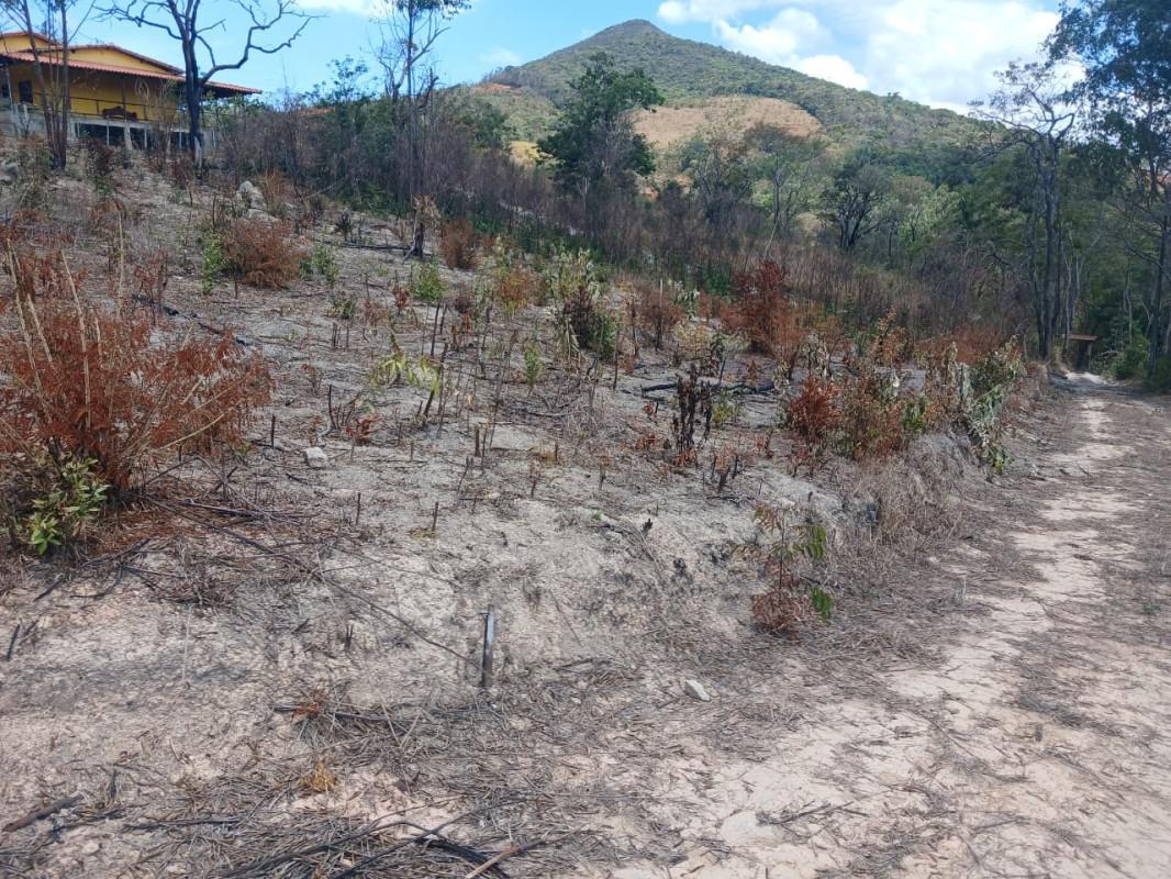 Lote, Roças Novas, 0 Quarto, 0 Vaga