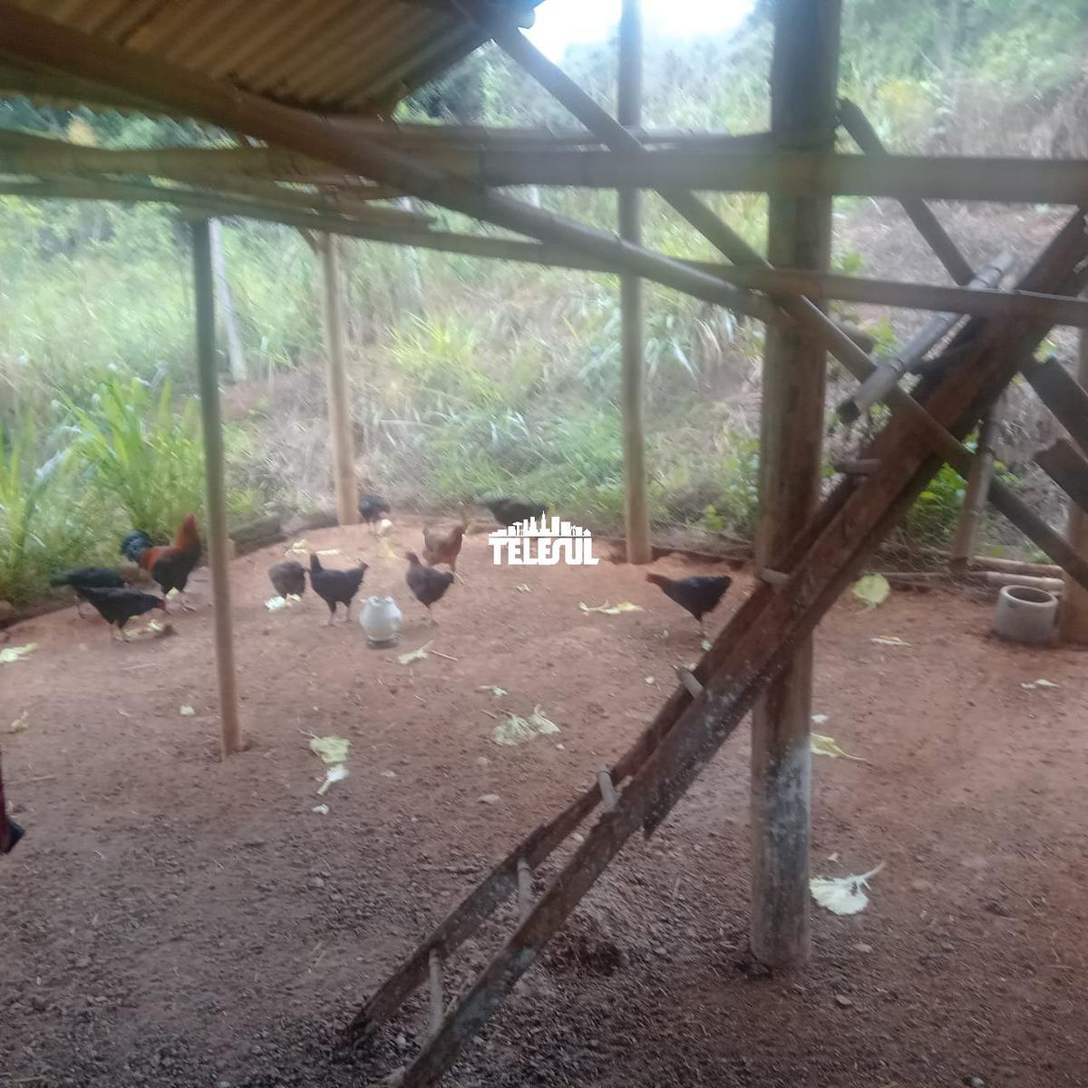 Fazenda, Zona Rural, 0 Quarto, 0 Vaga