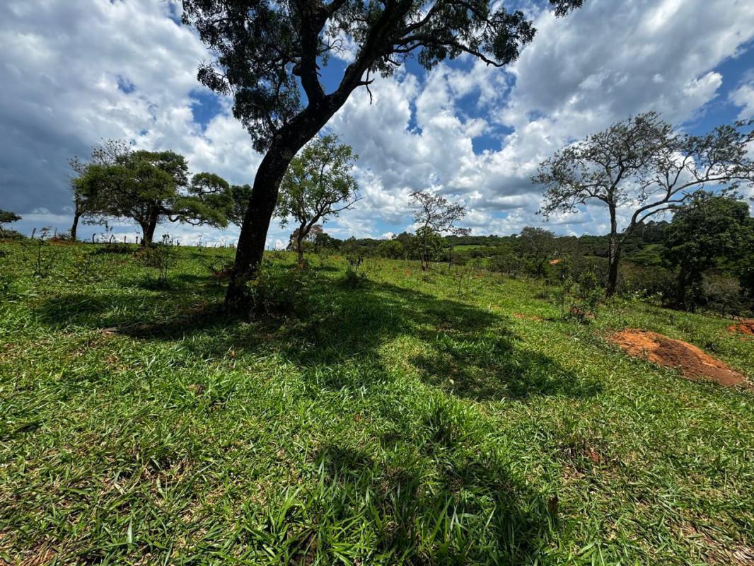 Lote, Centro, 0 Quarto, 0 Vaga