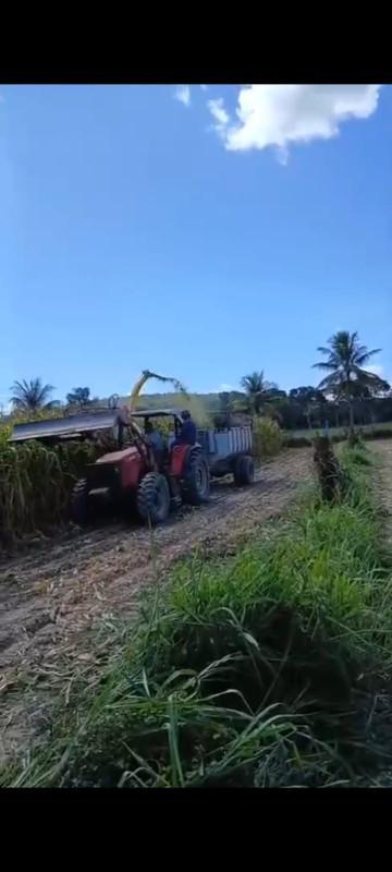 Fazenda, Zona Rural, 0 Quarto, 0 Vaga