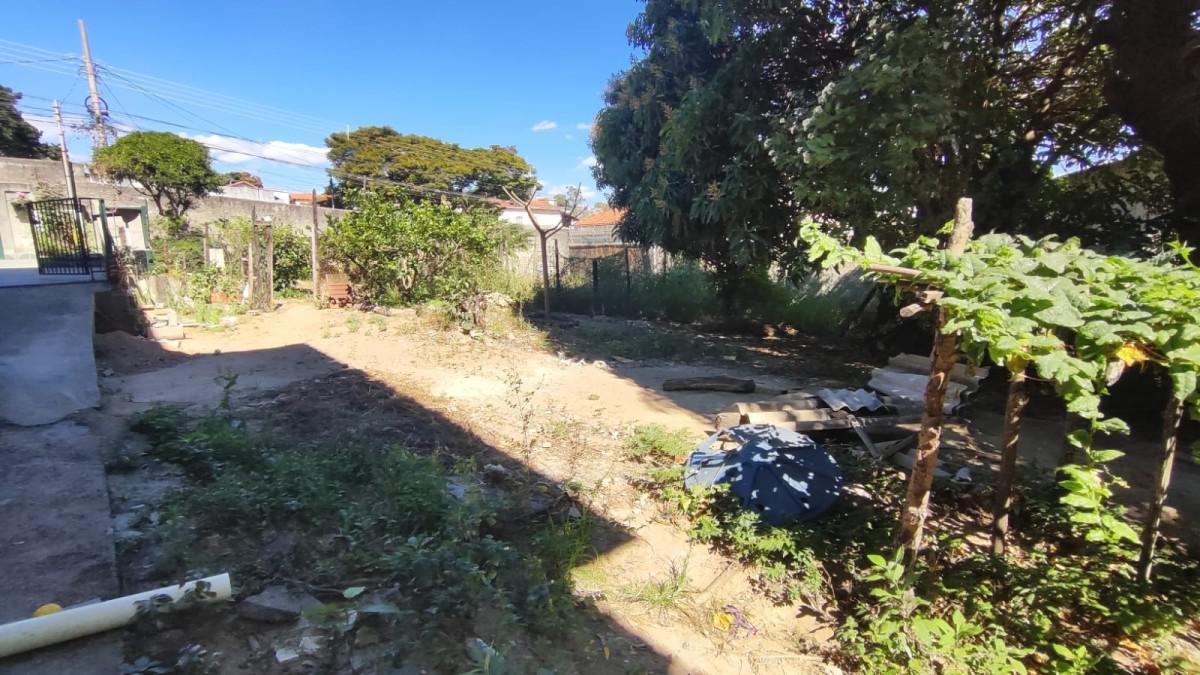 Lote, Novo Progresso, 0 Quarto, 0 Vaga