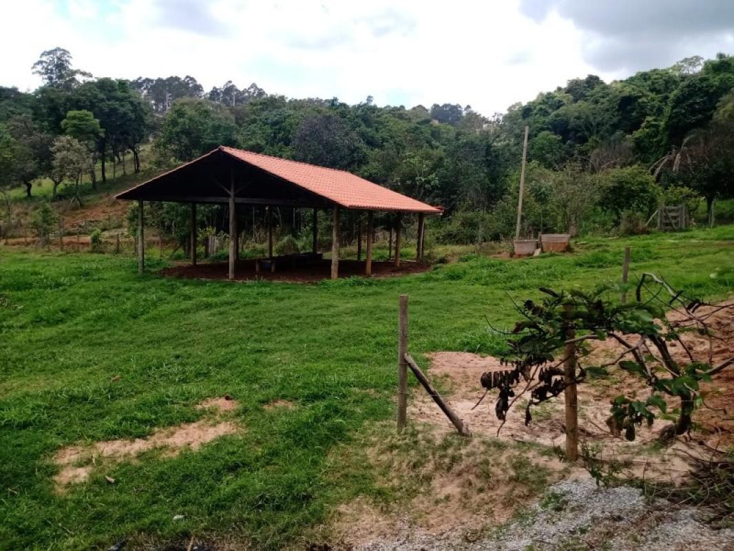 Fazenda, Centro, 0 Quarto, 0 Vaga