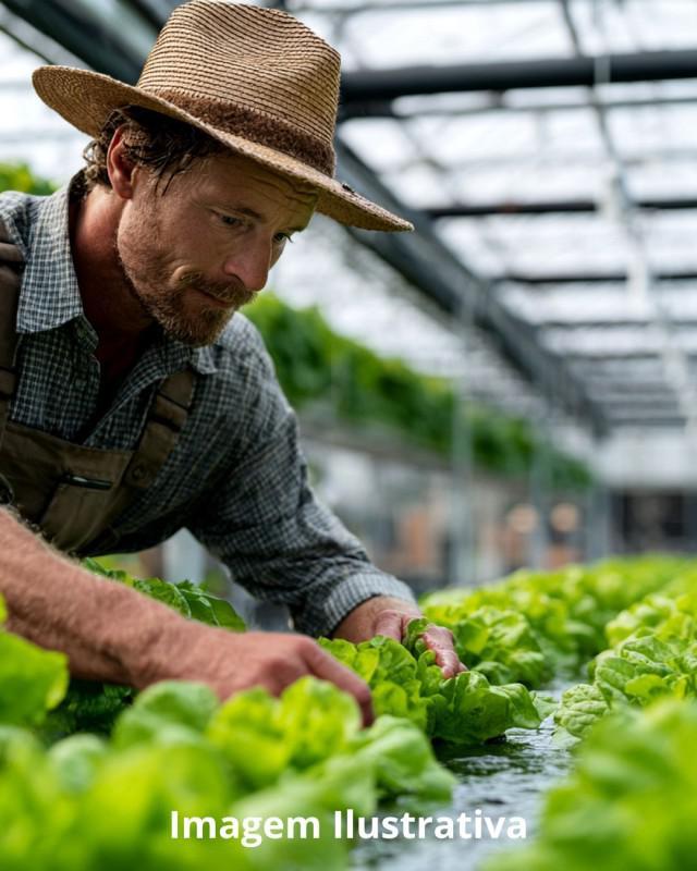 Lote, Saraiva, 0 Quarto, 0 Vaga