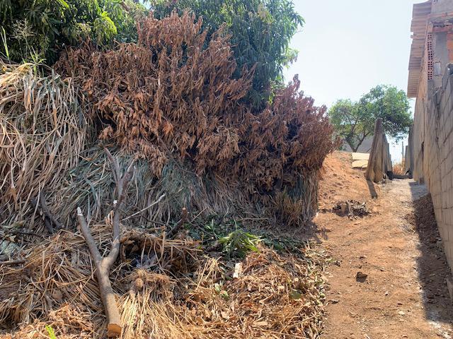 Lote, São Salvador, 0 Quarto, 0 Vaga