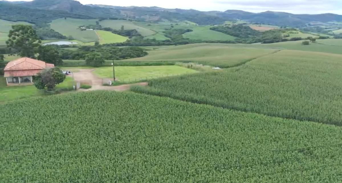 Fazenda, Zona Rural, 0 Quarto, 0 Vaga