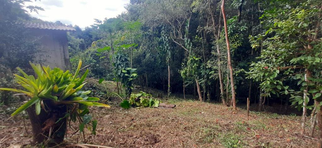 Fazenda, Arraial Velho, 0 Quarto, 0 Vaga