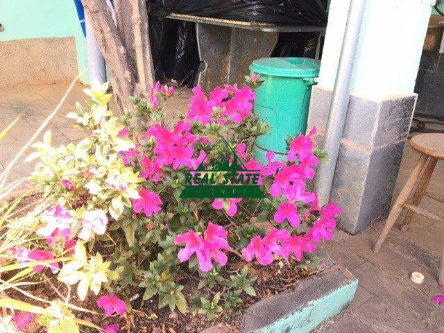 Casa, Caiçaras, 3 Quartos, 4 Vagas, 1 Suíte