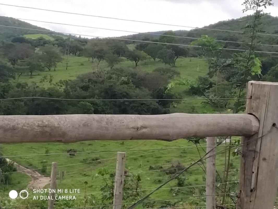 Fazenda, Centro, 0 Quarto, 0 Vaga