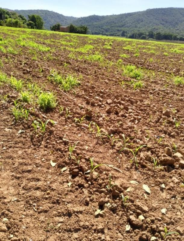 Fazenda, Zona Rural, 0 Quarto, 0 Vaga