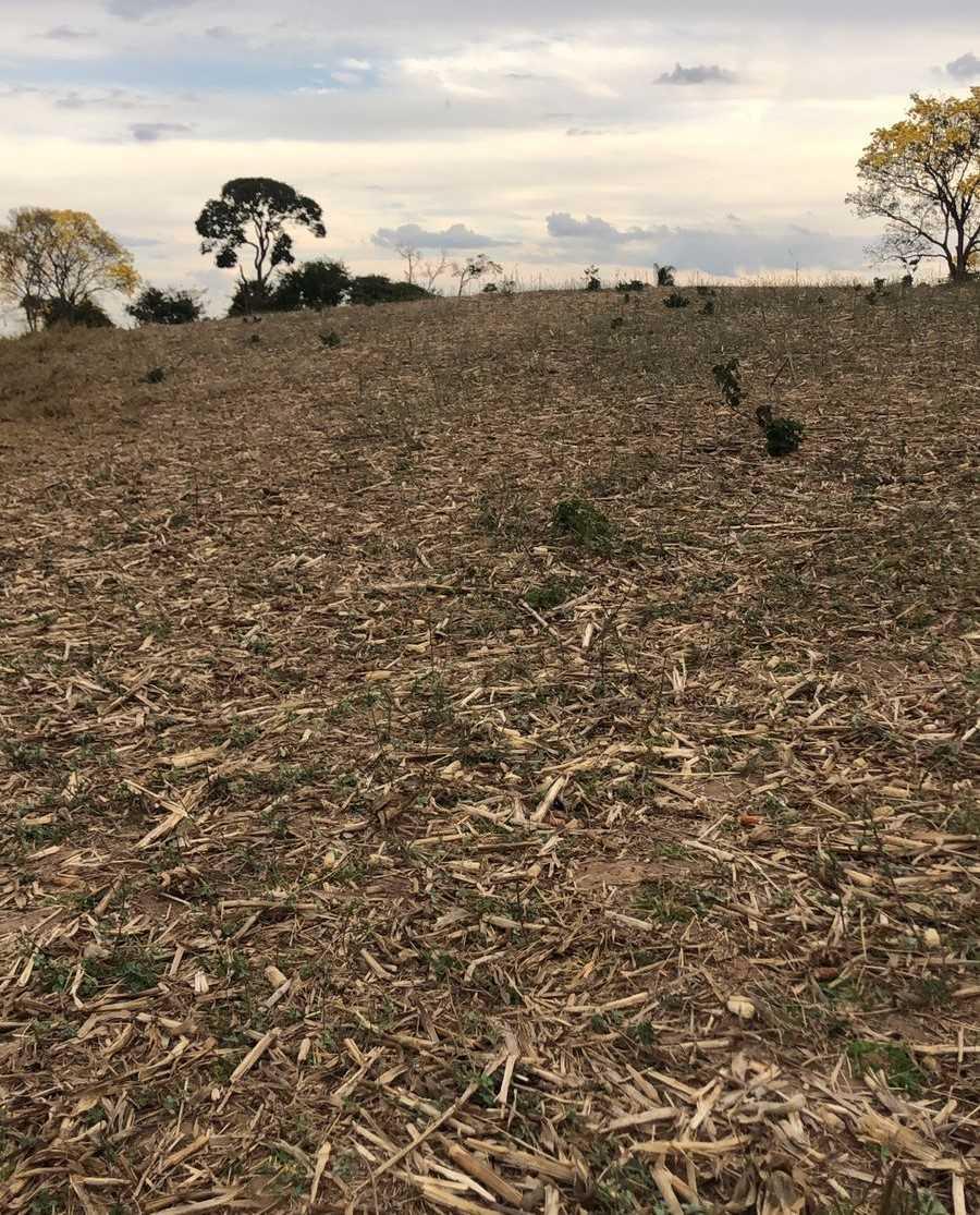 Fazenda, Centro, 3 Quartos, 0 Vaga