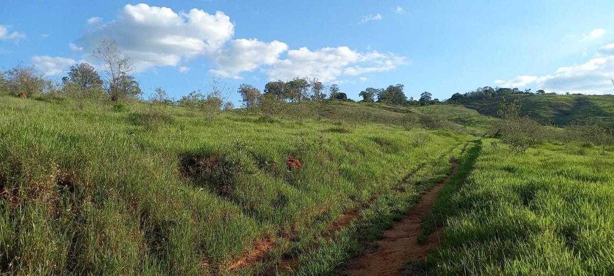 Fazenda, Zona Rural, 1 Quarto, 0 Vaga