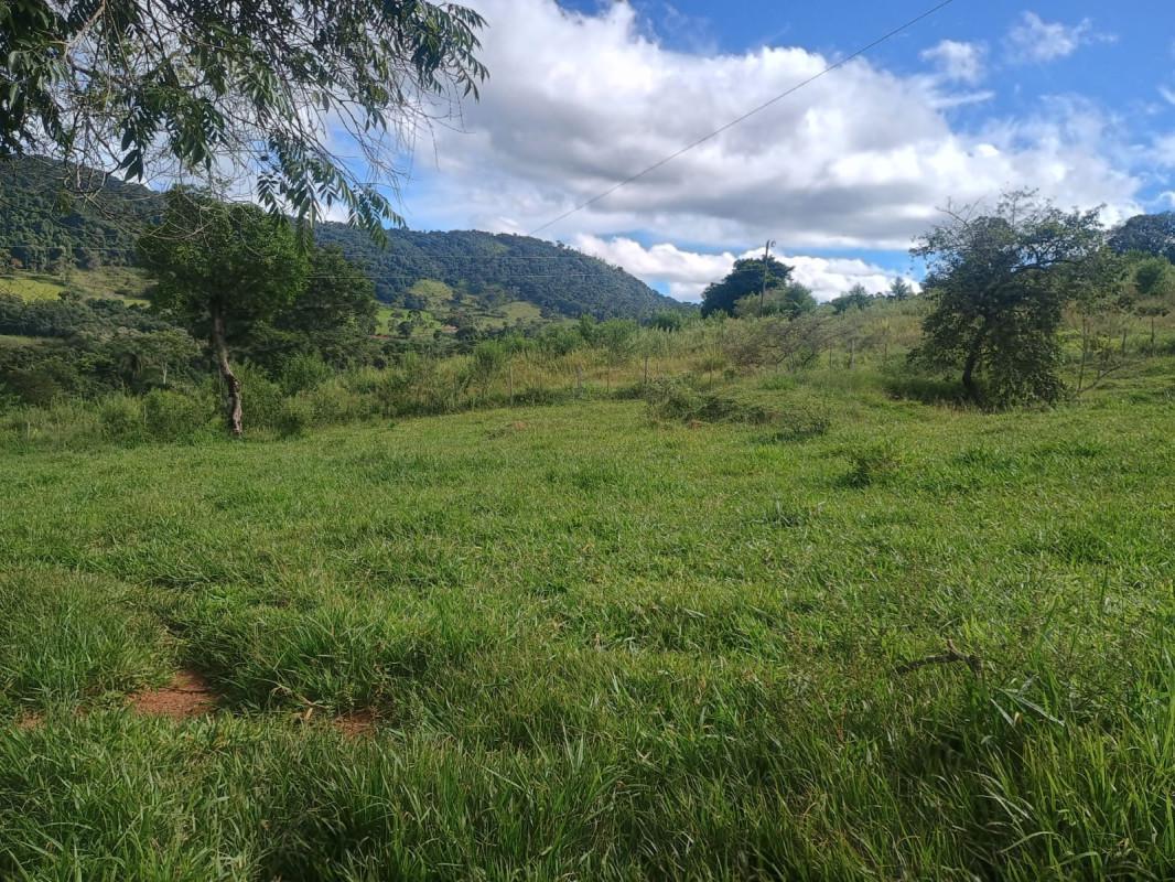 Fazenda, Centro, 0 Quarto, 0 Vaga