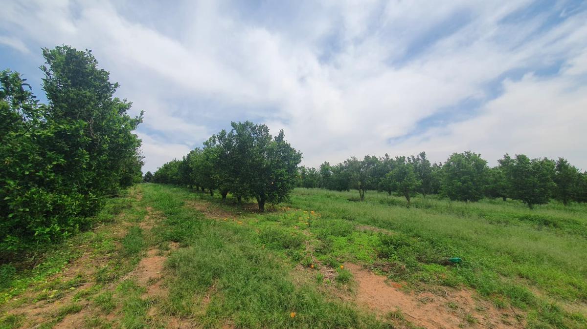 Fazenda, Zona Rural, 3 Quartos, 0 Vaga, 1 Suíte