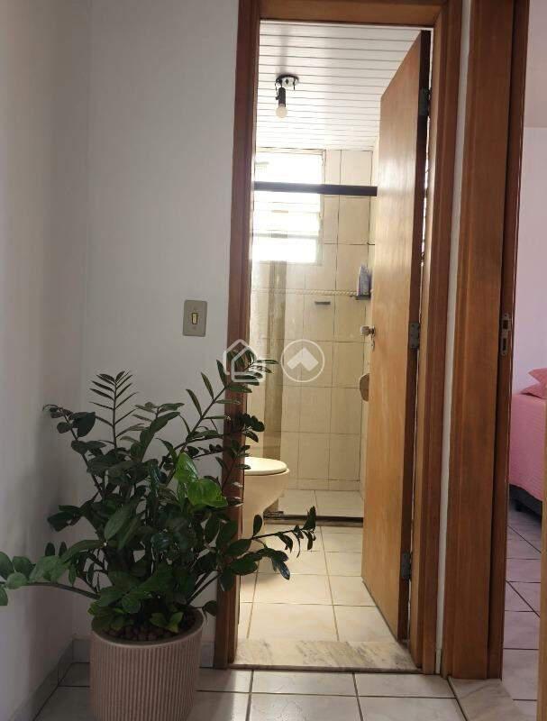 Apartamento, Palmeiras, 2 Quartos, 1 Vaga