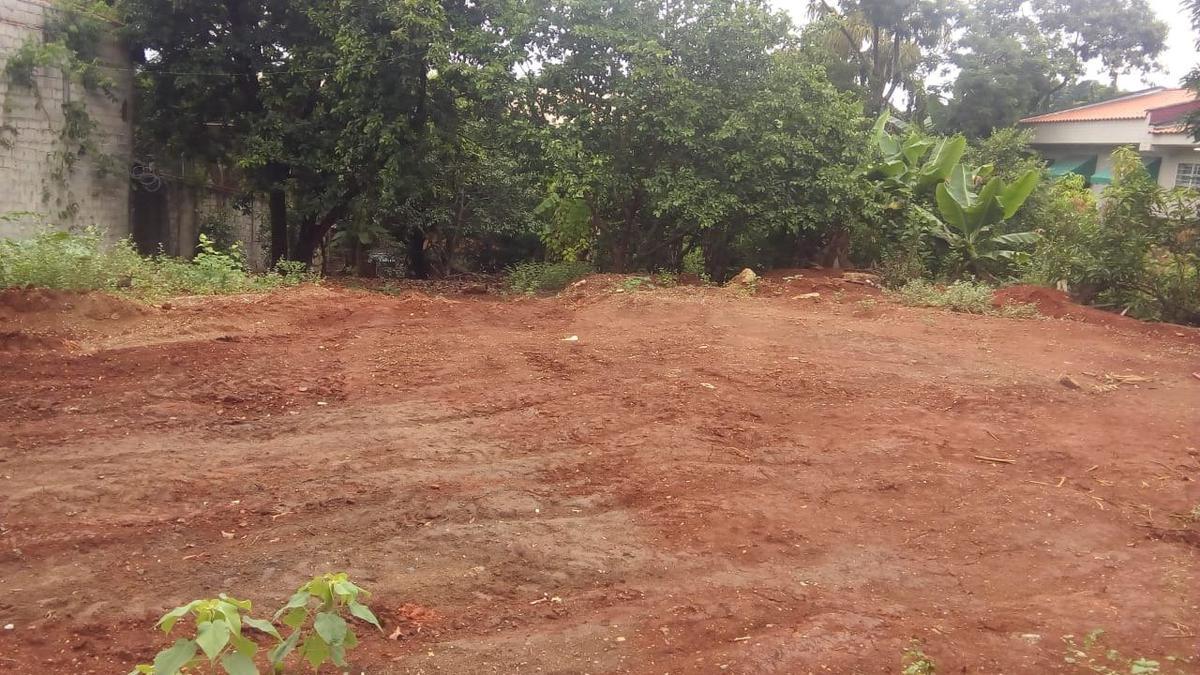 Lote, Trevo, 0 Quarto, 0 Vaga