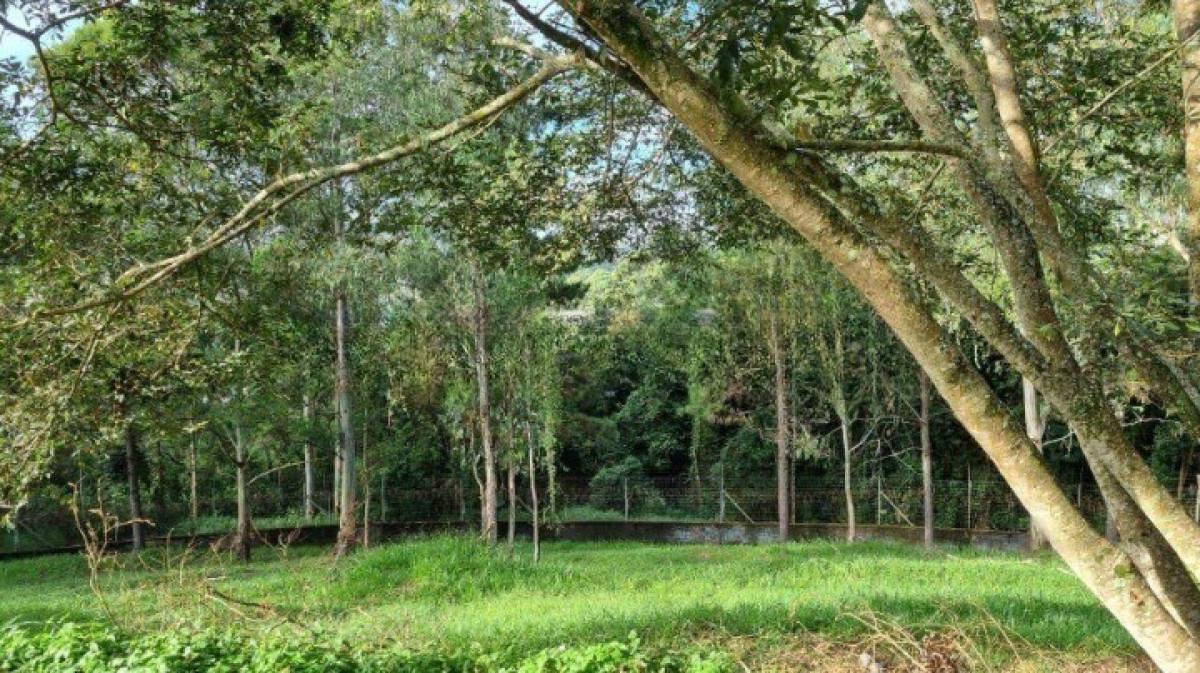 Lote, Alphaville - Lagoa dos Ingleses, 0 Quarto, 0 Vaga