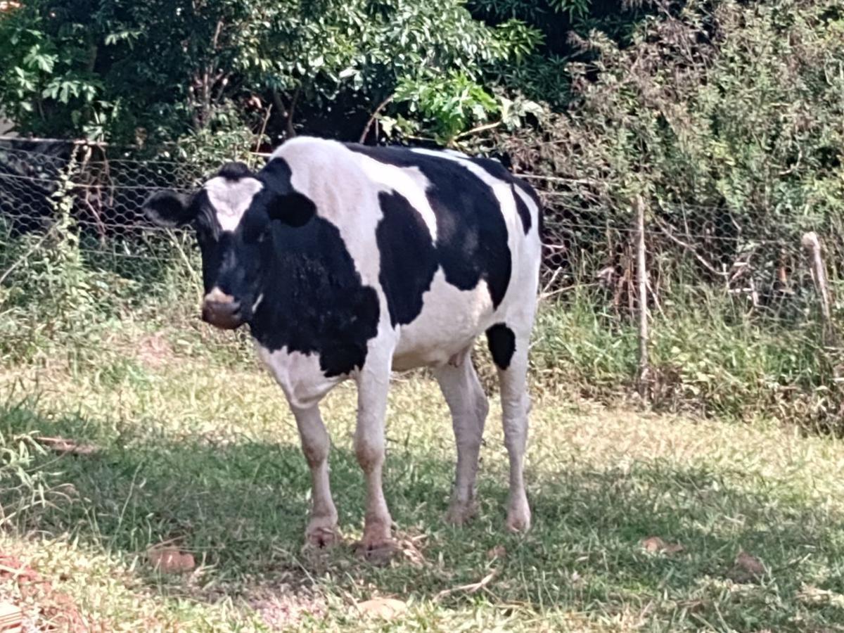 Lote, Encontro das Águas, 1 Quarto, 0 Vaga