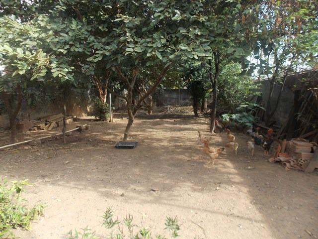 Lote, Betânia, 0 Quarto, 0 Vaga