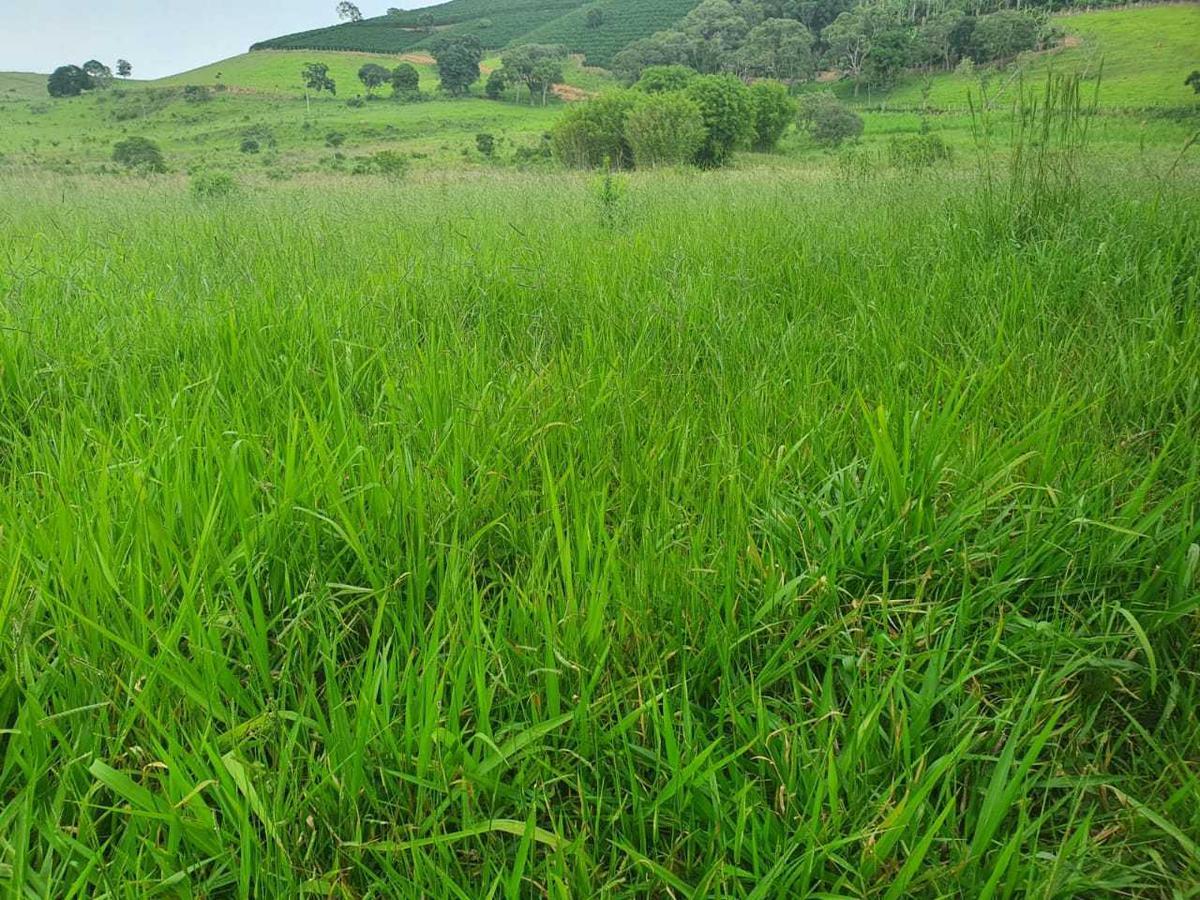 Fazenda, Zona Rural, 4 Quartos, 0 Vaga