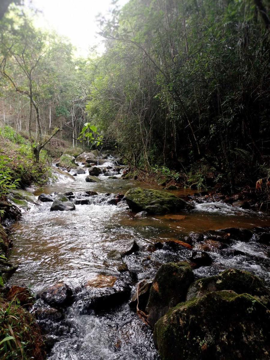 Lote, Santo Antônio do Salto, 0 Quarto, 0 Vaga