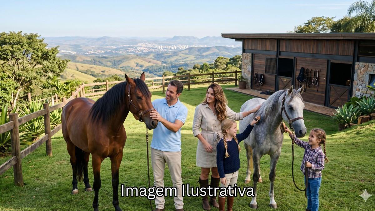 Lote, Saraiva, 0 Quarto, 0 Vaga