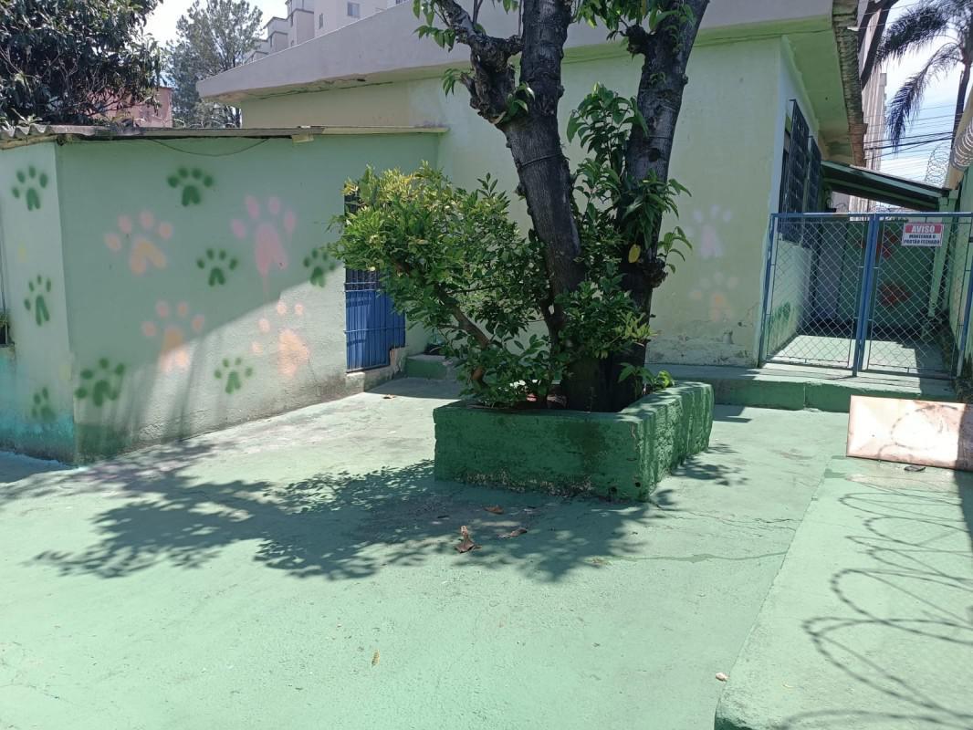 Casa, Cinquentenário, 2 Quartos, 0 Vaga