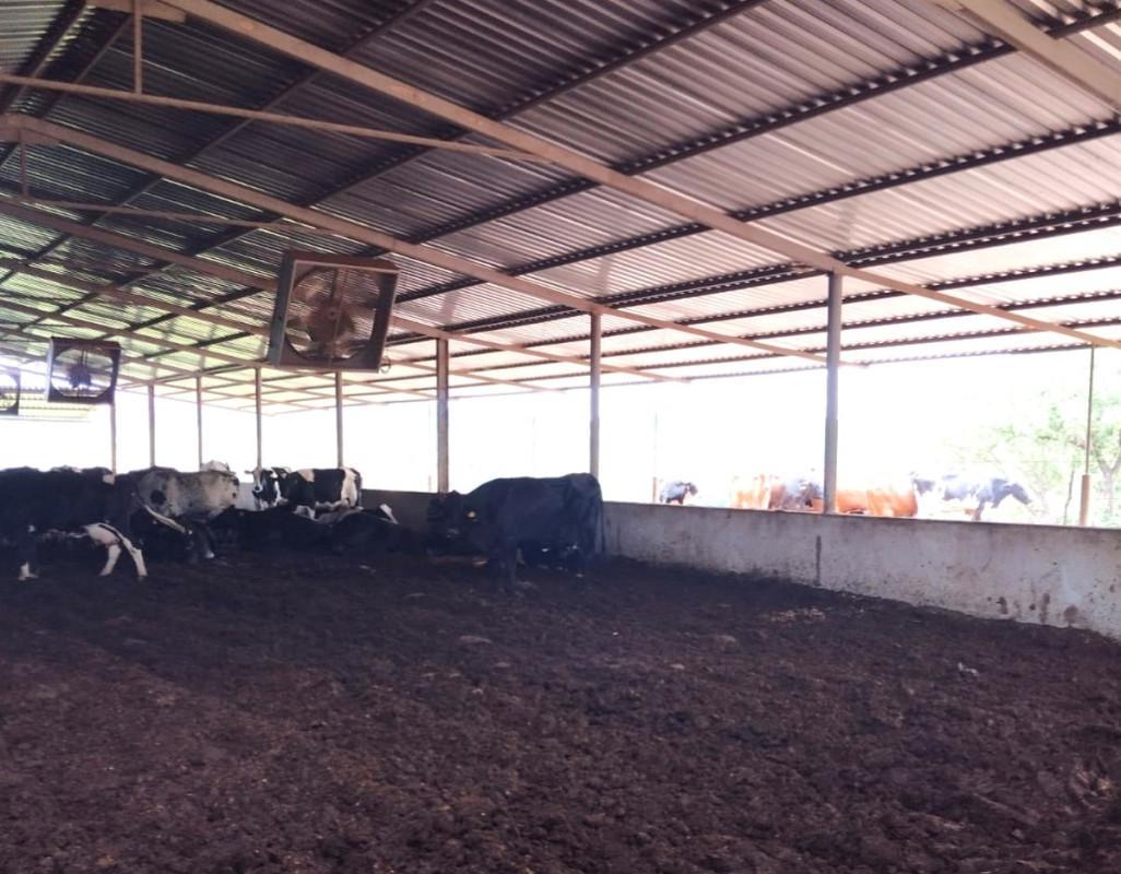 Fazenda, Área Rural de Pará de Minas, 0 Quarto, 0 Vaga