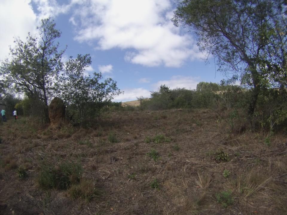 Fazenda, Centro, 1 Quarto, 0 Vaga
