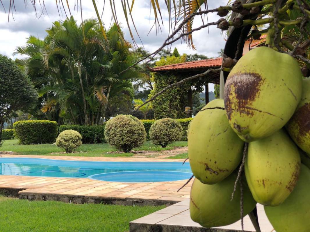 Fazenda, Centro, 3 Quartos, 10 Vagas, 1 Suíte
