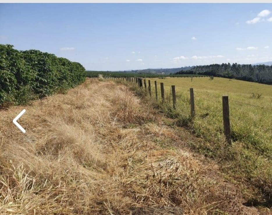Fazenda, Centro, 3 Quartos, 1 Vaga, 1 Suíte